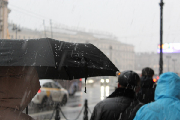 В Тюмени после ливня автомобилисты массово ищут потерянные номера